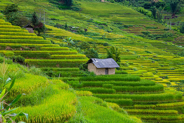 Đẩy mạnh phát triển du lịch tại Bát Xát Lào Cai trong năm 2023. (Ảnh minh họa: kho ảnh Pixabay)